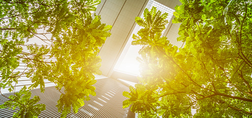 菠菜担保网·(中国区)官方网站