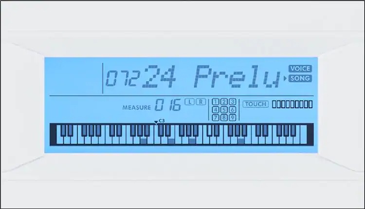 EZ-300