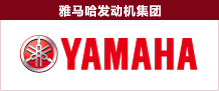 菠菜担保网·(中国区)官方网站