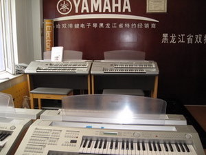 菠菜担保网双排键电子琴西席俱乐部（YETC）会员研修中心在北京,哈尔滨,西安建设 