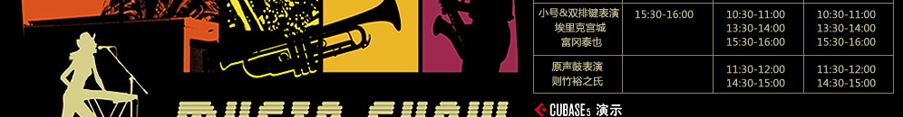 YAMAHA闪亮登场2009 Music China 