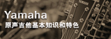 吉他、贝斯和音箱