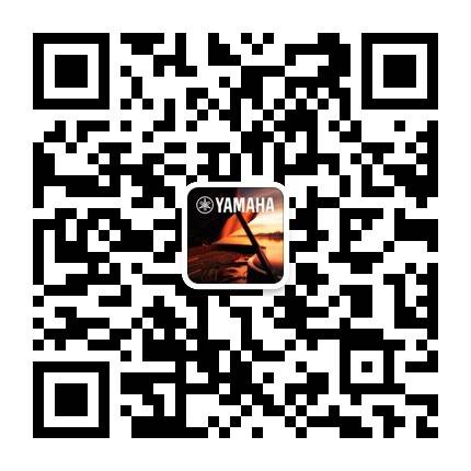 菠菜担保网钢琴公众号