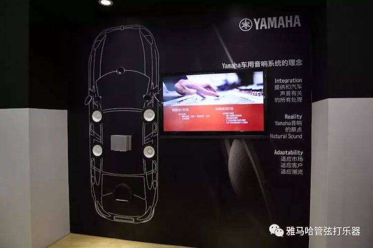 菠菜担保网乐器