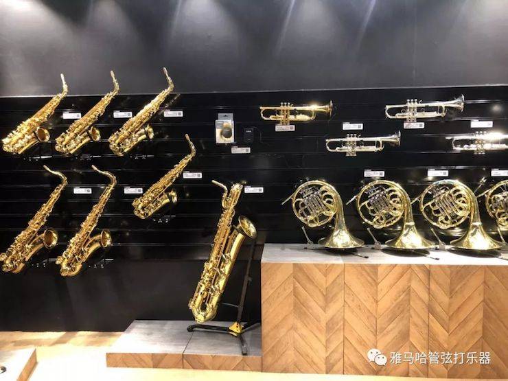 菠菜担保网乐器 试奏乐器