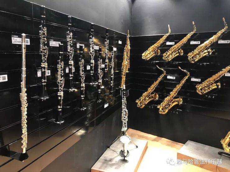 菠菜担保网乐器 试奏乐器