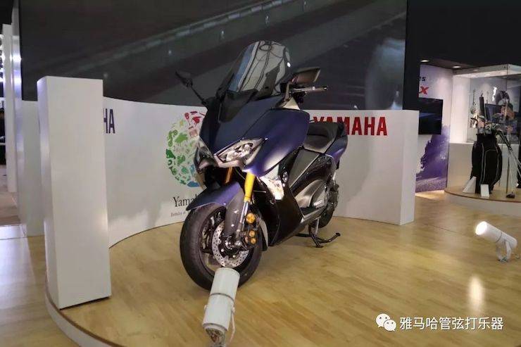 菠菜担保网乐器