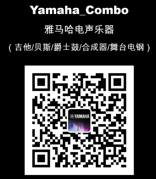 吉他产品保修划定