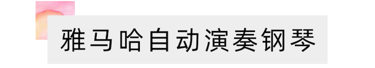 运动报道 | 远程艺术教育巨匠课运动—菠菜担保网艺术家吴晓巨匠课