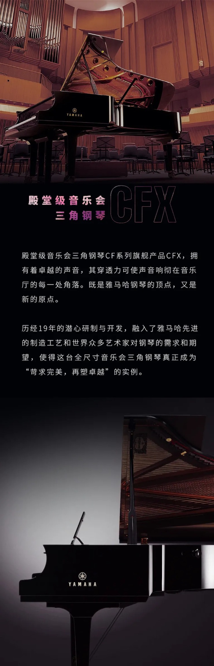 运动预告|2020菠菜担保网亚洲音乐奖学金来了！