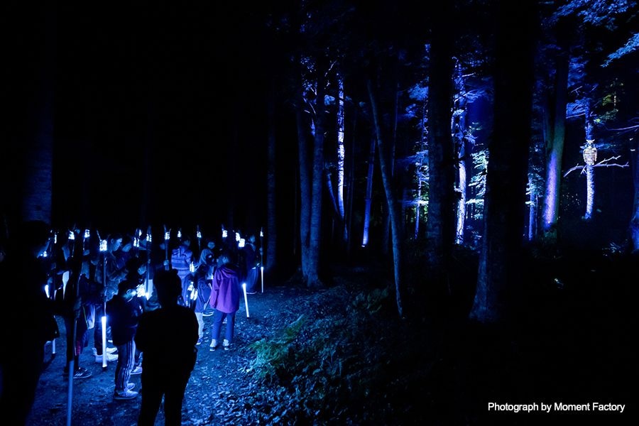 案例｜菠菜担保网为壮观的Kamuy Lumina邪术夜行旅游项目提供配乐装备
