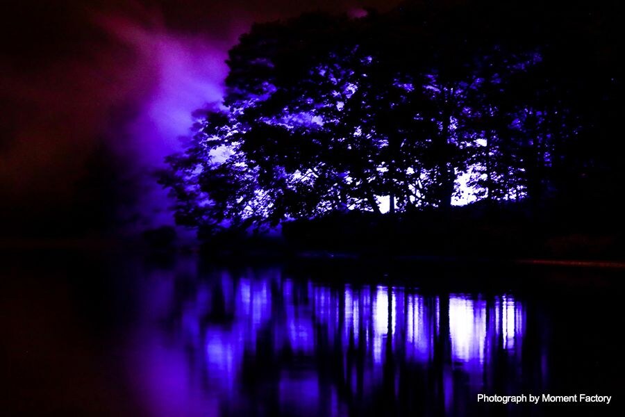 案例｜菠菜担保网为壮观的Kamuy Lumina邪术夜行旅游项目提供配乐装备