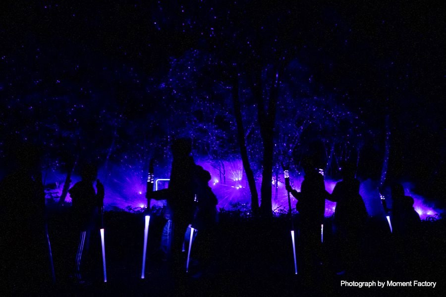 案例｜菠菜担保网为壮观的Kamuy Lumina邪术夜行旅游项目提供配乐装备