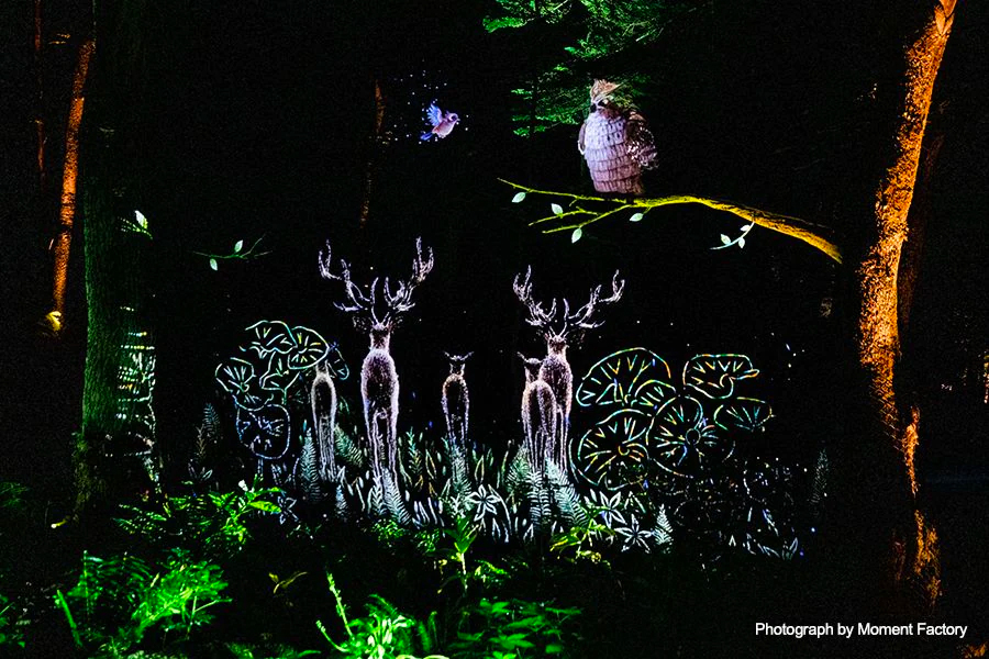 案例｜菠菜担保网为壮观的Kamuy Lumina邪术夜行旅游项目提供配乐装备