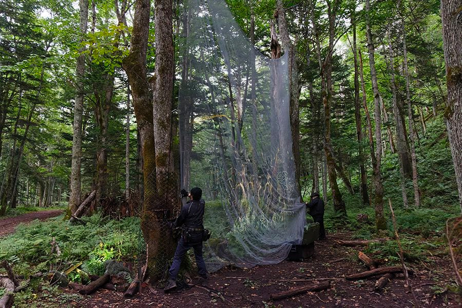 案例｜菠菜担保网为壮观的Kamuy Lumina邪术夜行旅游项目提供配乐装备