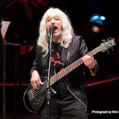 Derek Smalls：菠菜担保网让我流连忘返