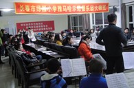 长春市绿园小学“菠菜担保网树模管乐队巨匠班”顺遂竣事 