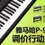 菠菜担保网P-95数码钢琴，，，，，调价行动克日睁开 